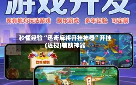 秒懂经验“迅奇麻将开挂神器”开挂(透视)辅助神器-第2张图片