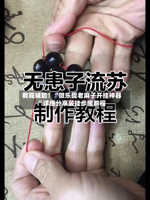 教程辅助！“微乐捉老麻子开挂神器	”详细分享装挂步骤教程-第3张图片