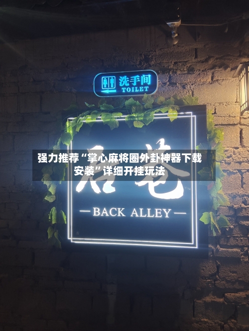 强力推荐“掌心麻将圈外卦神器下载安装”详细开挂玩法-第2张图片