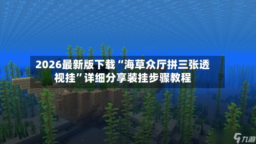 2026最新版下载“海草众厅拼三张透视挂	”详细分享装挂步骤教程-第2张图片