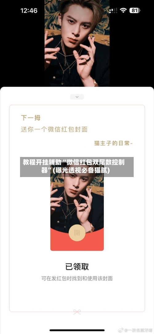 教程开挂辅助“微信红包双尾数控制器	”(曝光透视必备猫腻)-第2张图片