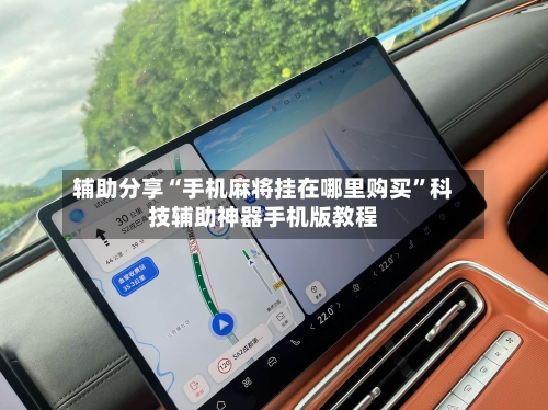 辅助分享“手机麻将挂在哪里购买	”科技辅助神器手机版教程-第3张图片