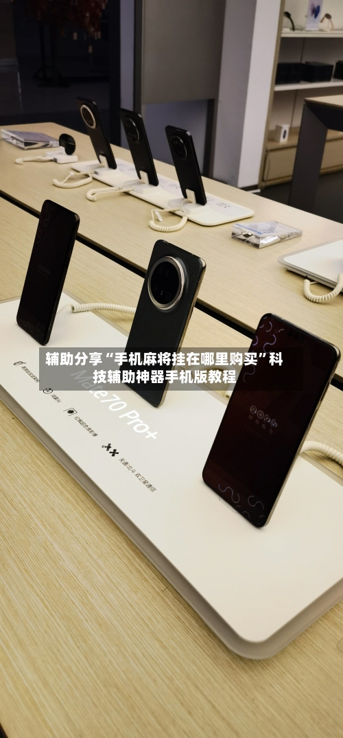 辅助分享“手机麻将挂在哪里购买”科技辅助神器手机版教程-第2张图片