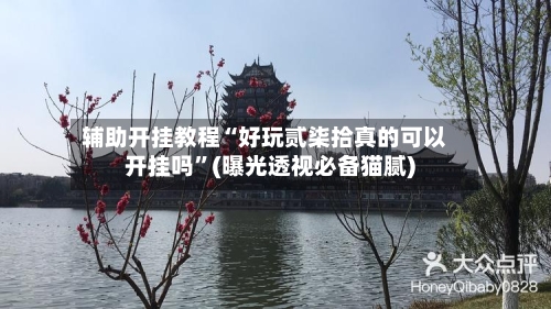 辅助开挂教程“好玩贰柒拾真的可以开挂吗	”(曝光透视必备猫腻)-第2张图片