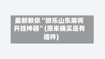 最新教你“微乐山东麻将开挂神器”(原来确实是有插件)-第2张图片