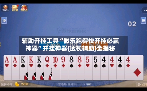 辅助开挂工具“微乐跑得快开挂必赢神器”开挂神器{透视辅助}全揭秘-第3张图片