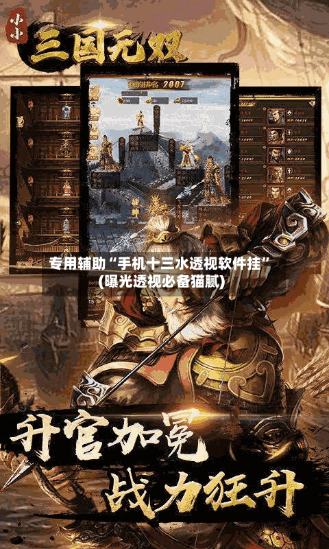 专用辅助“手机十三水透视软件挂”(曝光透视必备猫腻)-第3张图片