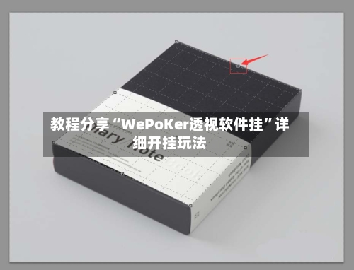 教程分享“WePoKer透视软件挂”详细开挂玩法-第3张图片