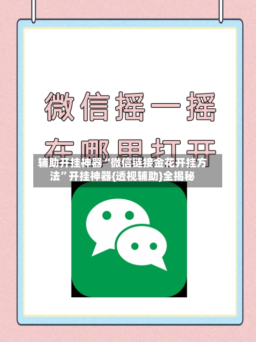 辅助开挂神器“微信链接金花开挂方法”开挂神器{透视辅助}全揭秘-第3张图片