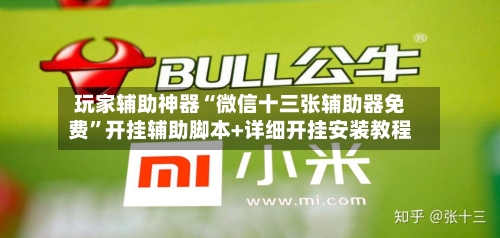 玩家辅助神器“微信十三张辅助器免费	”开挂辅助脚本+详细开挂安装教程-第3张图片