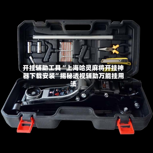 开挂辅助工具“上海哈灵麻将开挂神器下载安装”揭秘透视辅助万能挂用法-第3张图片