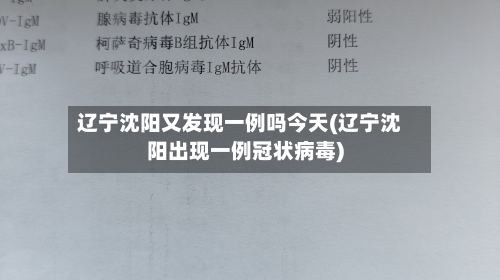 辽宁沈阳又发现一例吗今天(辽宁沈阳出现一例冠状病毒)-第3张图片