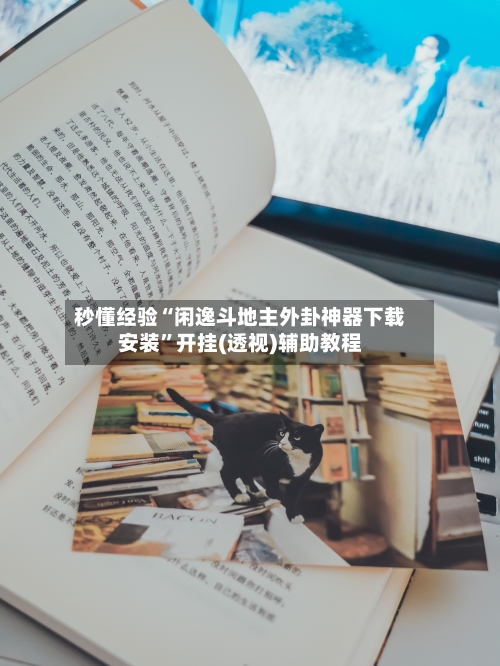 秒懂经验“闲逸斗地主外卦神器下载安装	”开挂(透视)辅助教程-第3张图片