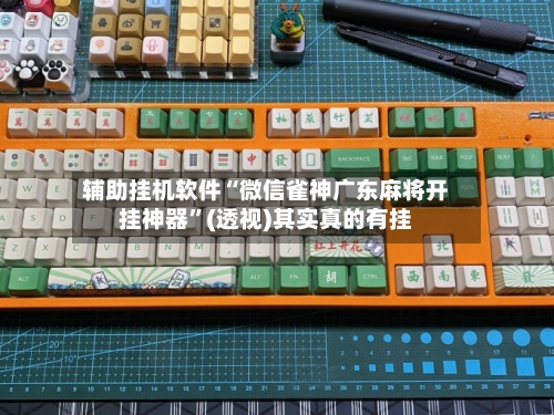 辅助挂机软件“微信雀神广东麻将开挂神器”(透视)其实真的有挂-第2张图片