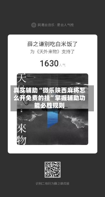 真实辅助“微乐陕西麻将怎么开免费的挂	”掌握辅助功能必胜规则-第3张图片