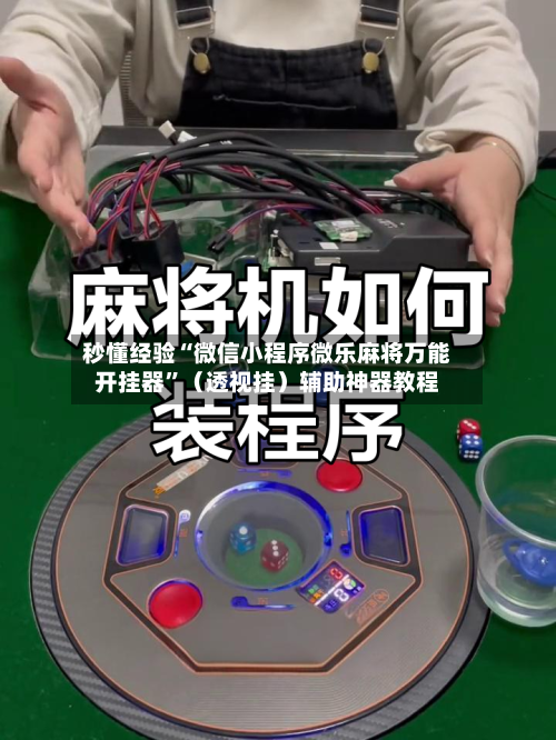 秒懂经验“微信小程序微乐麻将万能开挂器	”（透视挂）辅助神器教程-第3张图片