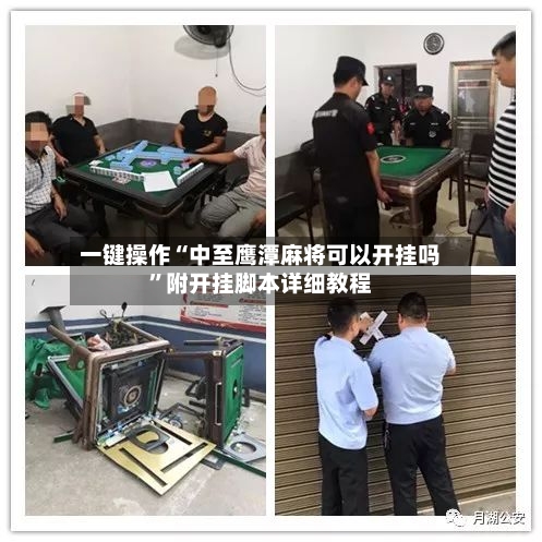 一键操作“中至鹰潭麻将可以开挂吗”附开挂脚本详细教程-第1张图片