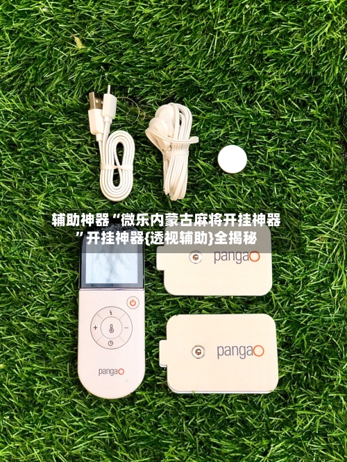 辅助神器“微乐内蒙古麻将开挂神器	”开挂神器{透视辅助}全揭秘-第3张图片