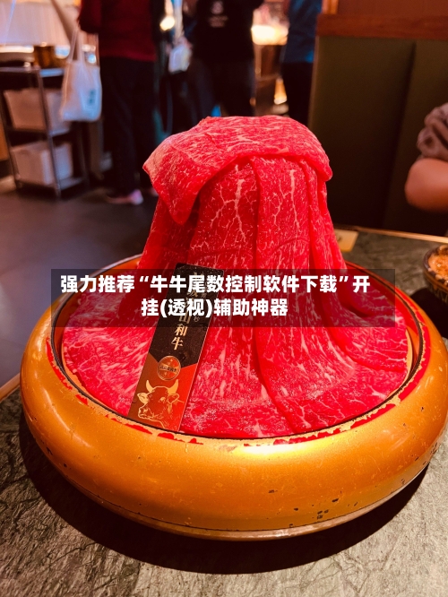 强力推荐“牛牛尾数控制软件下载”开挂(透视)辅助神器-第3张图片