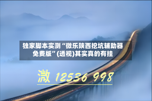独家脚本实测“微乐陕西挖坑辅助器免费版”(透视)其实真的有挂-第2张图片