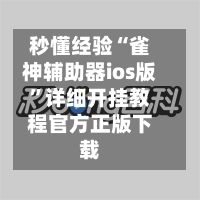 秒懂经验“雀神辅助器ios版	”详细开挂教程官方正版下载-第3张图片