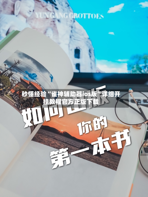 秒懂经验“雀神辅助器ios版”详细开挂教程官方正版下载-第2张图片