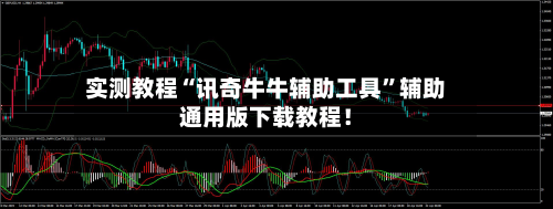 实测教程“讯奇牛牛辅助工具”辅助通用版下载教程！-第3张图片