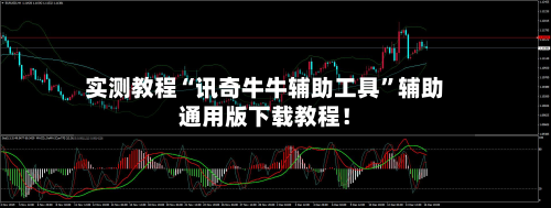 实测教程“讯奇牛牛辅助工具	”辅助通用版下载教程！-第2张图片