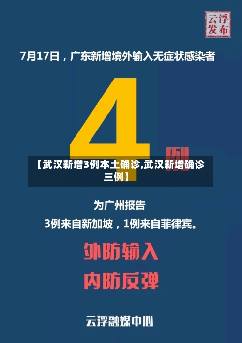 【武汉新增3例本土确诊,武汉新增确诊三例】-第2张图片