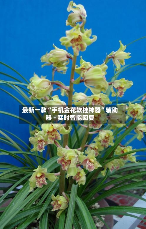 最新一款“手机金花软挂神器	”辅助器 - 实时智能回复-第2张图片