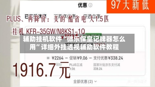 辅助挂机软件“微乐保皇记牌器怎么用”详细外挂透视辅助软件教程-第3张图片