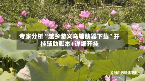 专家分析“越乡游义乌辅助器下载”开挂辅助脚本+详细开挂-第2张图片