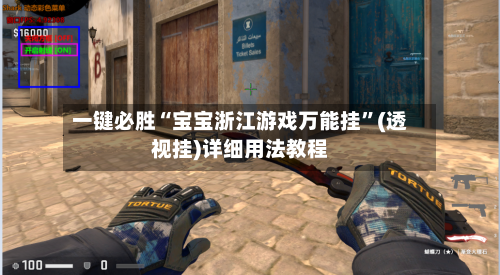一键必胜“宝宝浙江游戏万能挂”(透视挂)详细用法教程-第3张图片