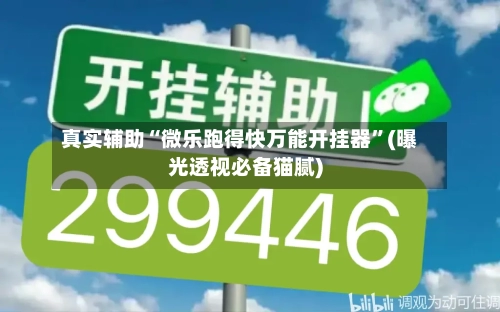 真实辅助“微乐跑得快万能开挂器”(曝光透视必备猫腻)-第3张图片