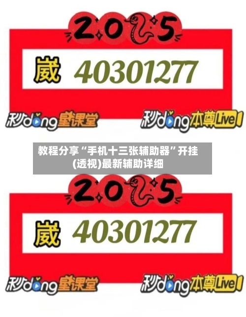 教程分享“手机十三张辅助器”开挂(透视)最新辅助详细-第2张图片