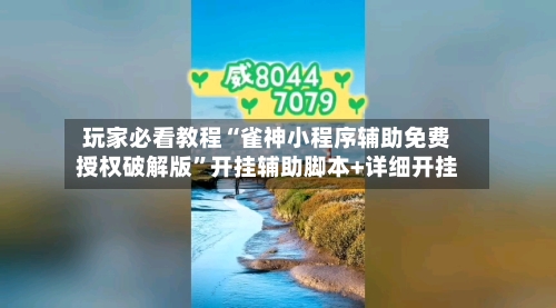 玩家必看教程“雀神小程序辅助免费授权破解版”开挂辅助脚本+详细开挂-第2张图片