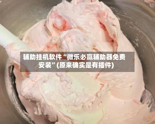 辅助挂机软件“微乐必赢辅助器免费安装	”(原来确实是有插件)-第3张图片