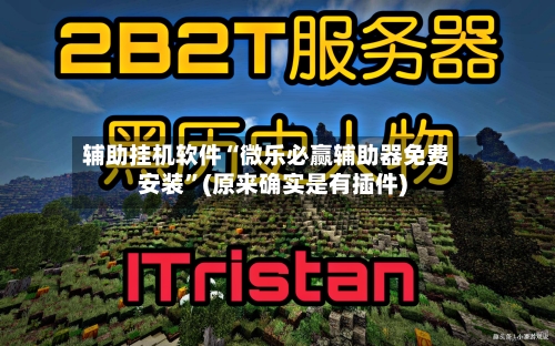 辅助挂机软件“微乐必赢辅助器免费安装”(原来确实是有插件)-第2张图片