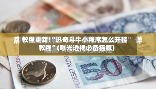 教程更新!“迅奇斗牛小程序怎么开挂教程”(曝光透视必备猫腻)-第3张图片