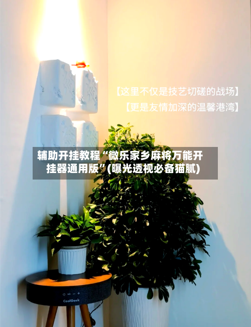 辅助开挂教程“微乐家乡麻将万能开挂器通用版”(曝光透视必备猫腻)-第2张图片