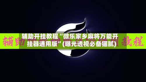 辅助开挂教程“微乐家乡麻将万能开挂器通用版	”(曝光透视必备猫腻)-第3张图片