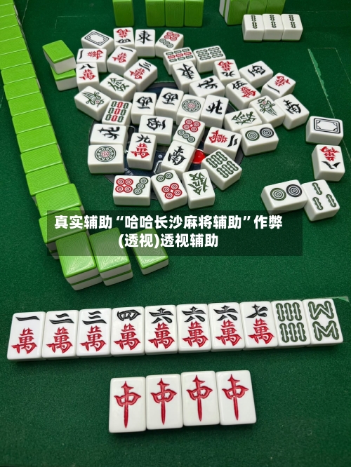 真实辅助“哈哈长沙麻将辅助	”作弊(透视)透视辅助-第2张图片