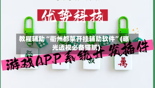 教程辅助“衢州都莱开挂辅助软件	”(曝光透视必备猫腻)-第2张图片