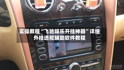 实操教程“飞驰娱乐开挂神器”详细外挂透视辅助软件教程-第3张图片