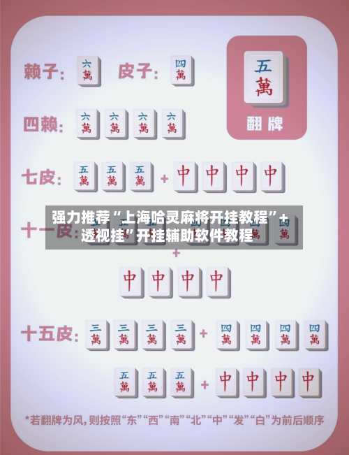 强力推荐“上海哈灵麻将开挂教程”+透视挂	”开挂辅助软件教程-第2张图片