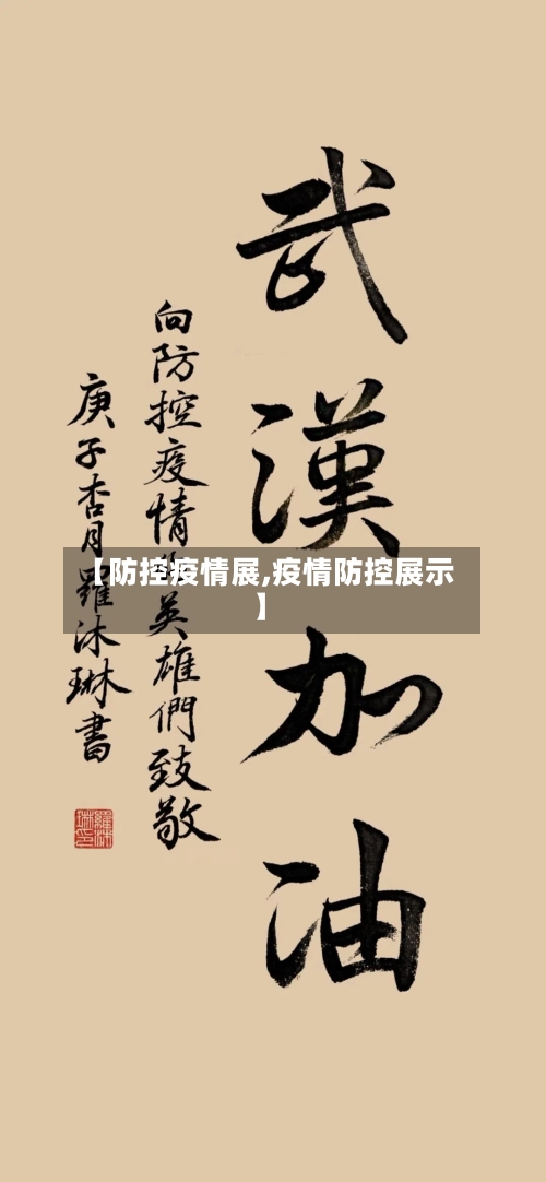 【防控疫情展,疫情防控展示】-第3张图片