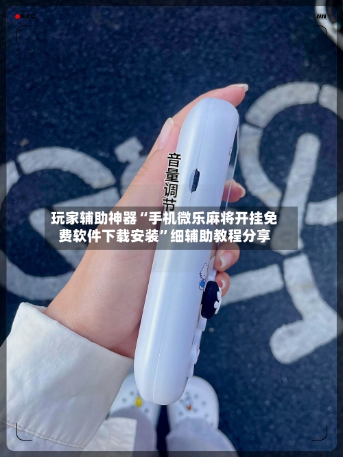 玩家辅助神器“手机微乐麻将开挂免费软件下载安装”细辅助教程分享-第2张图片