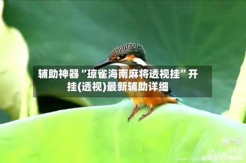 辅助神器“琼雀海南麻将透视挂	”开挂(透视)最新辅助详细-第3张图片