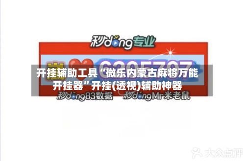 开挂辅助工具“微乐内蒙古麻将万能开挂器”开挂(透视)辅助神器-第3张图片