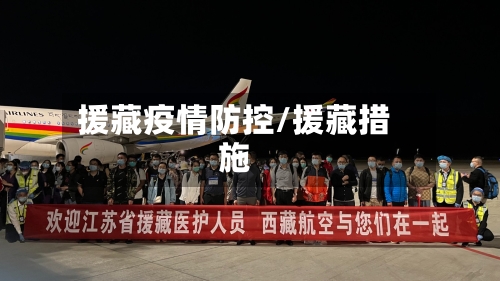 援藏疫情防控/援藏措施